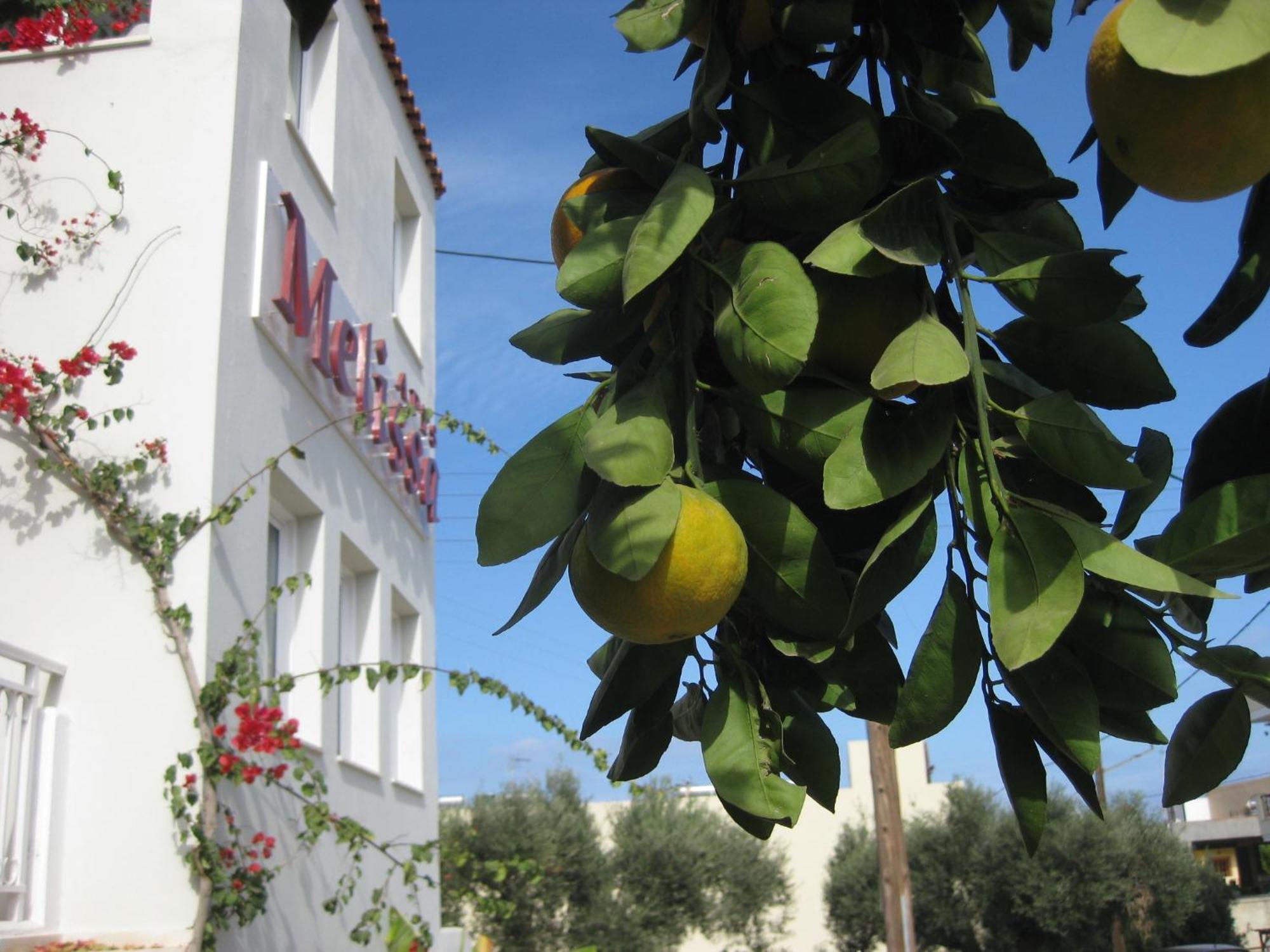 Melissa Apartments, Studios & Suites Malia  Exterior photo